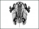 animatrix_jakerowell_prop_osiris0006