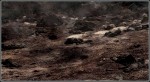 final-fantasy-jakerowell-envir-wasteland10
