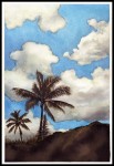 hawaii_jakerowell_design0001