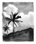 hawaii_jakerowell_design0002