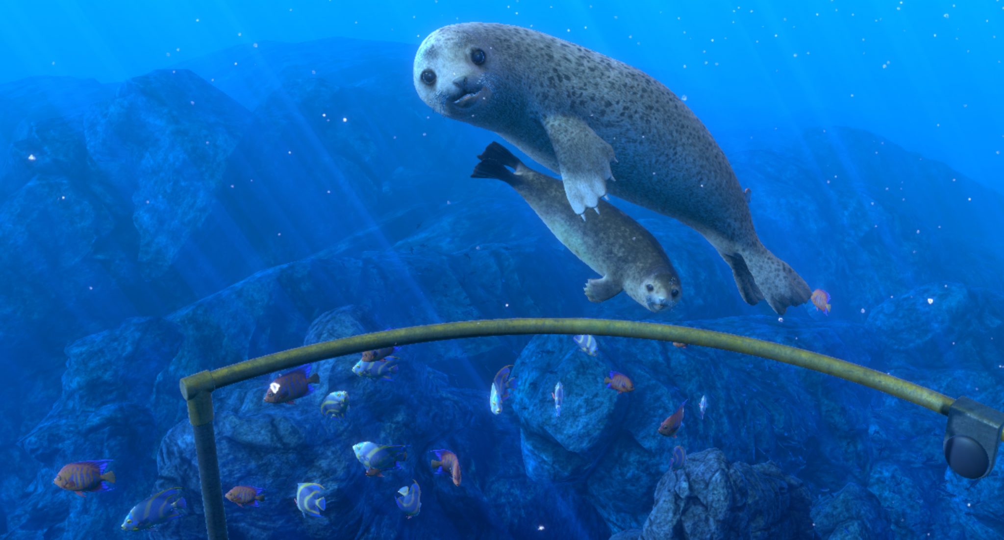 © Wevr & Dreamscape