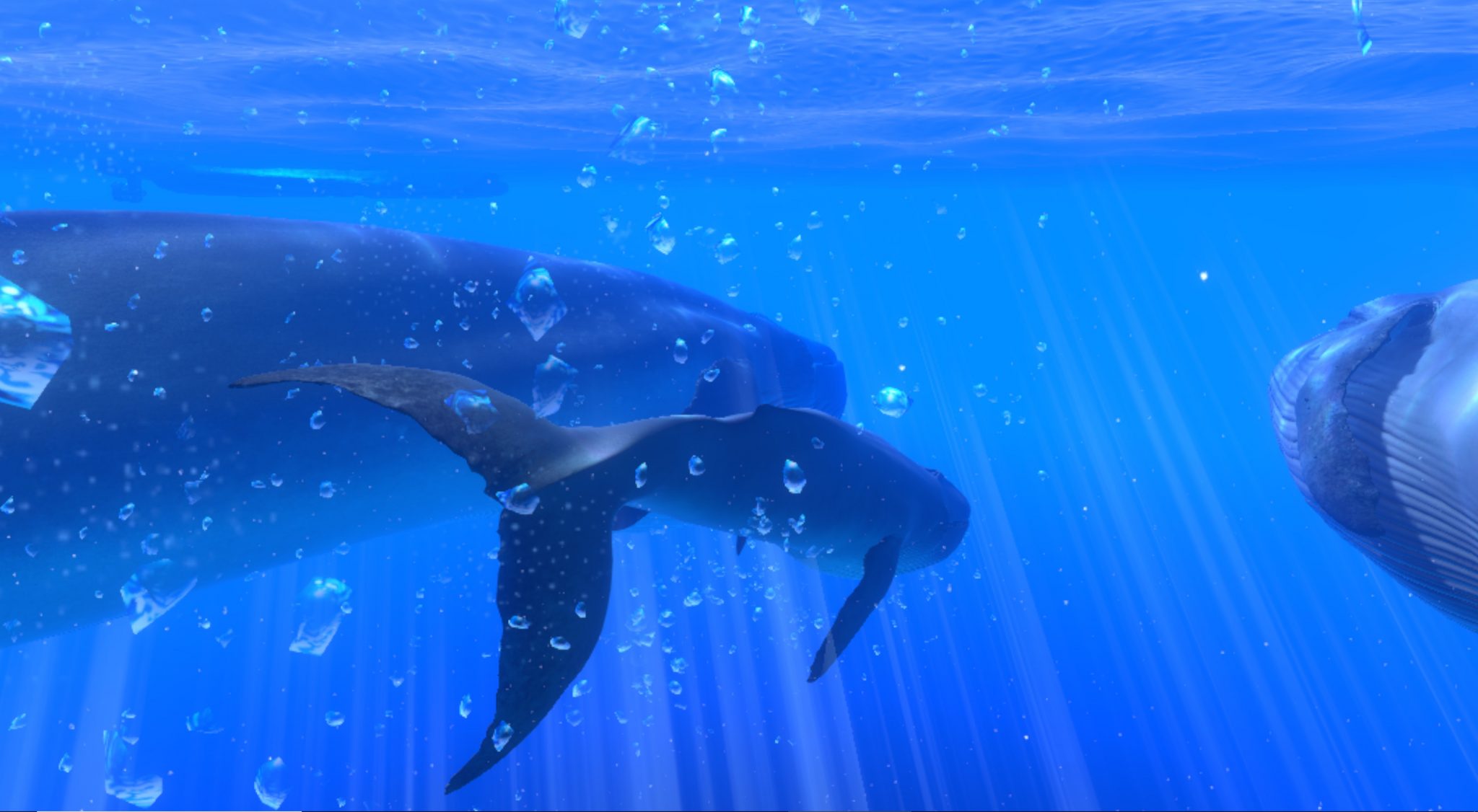 © Wevr & Dreamscape