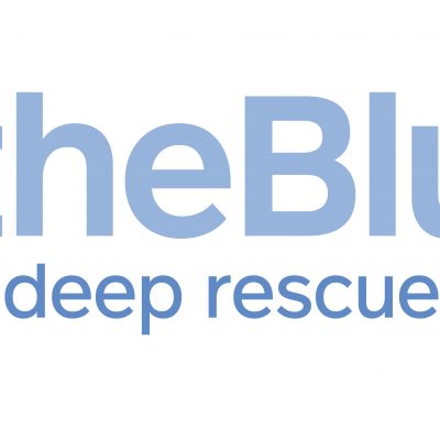 theBlu – Deep Rescue
